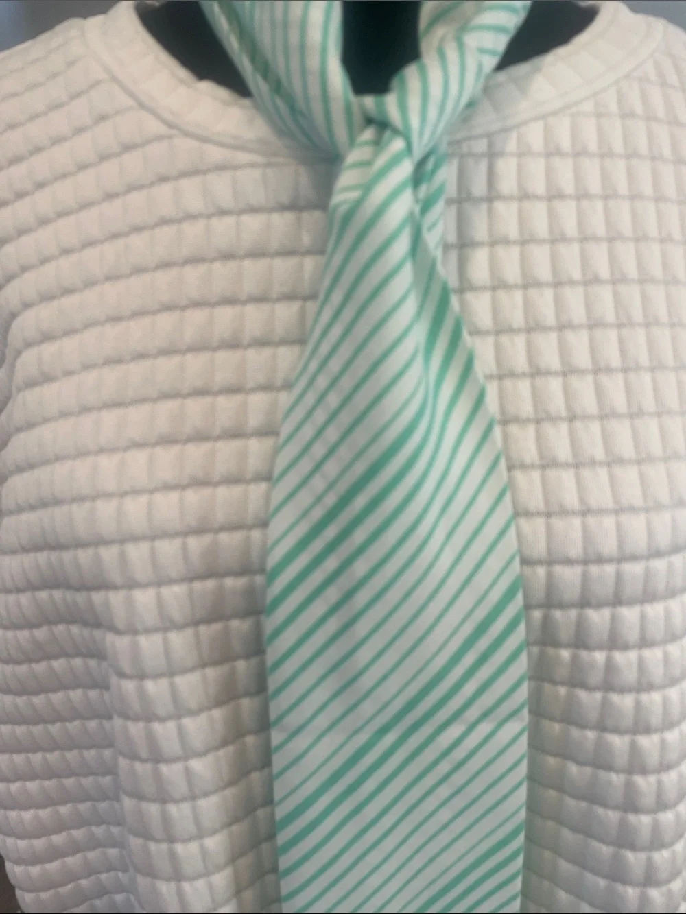 Mint Green Striped Scarf super cute - fun color